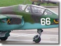 belarus41_su-25.jpg