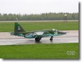 belarus43_su-25.jpg