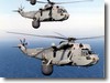 faa_seaking_mk7_01.jpg