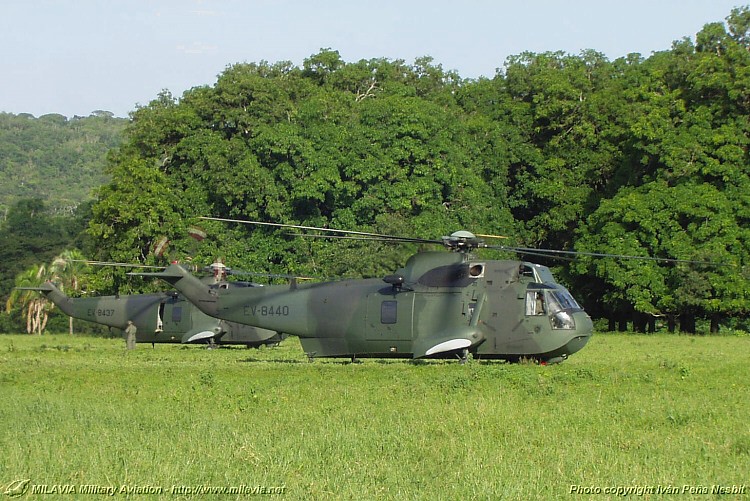 as-61_03.jpg