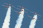 Snowbirds CT-114