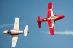 Snowbirds CT-114