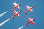 Snowbirds CT-114