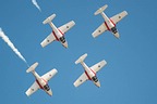 Snowbirds CT-114