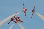 Snowbirds CT-114