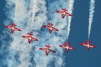 Snowbirds CT-114