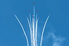 Snowbirds CT-114