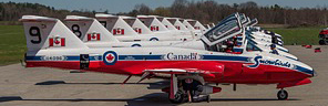 Snowbirds CT-114