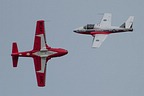 Snowbirds CT-114