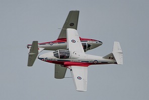 Snowbirds CT-114