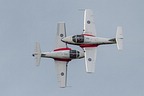 Snowbirds CT-114