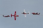 Snowbirds CT-114