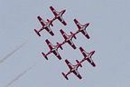 Snowbirds CT-114