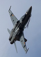 Spanish Air Force F-18 Hornet Demo