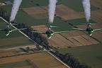 Saudi Hawks