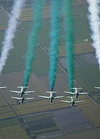 Saudi Hawks