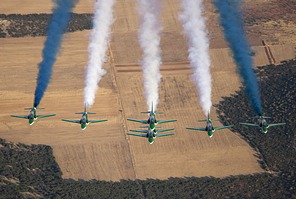 Saudi Hawks