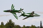 Saudi Hawks