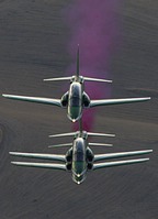 Saudi Hawks