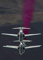 Saudi Hawks