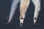 Saudi Hawks