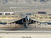 Harrier_08.jpg