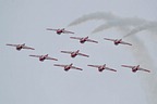 Snowbirds display