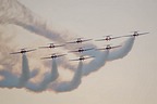 Snowbirds display