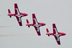 Snowbirds display