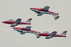 Snowbirds display