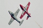 Snowbirds display