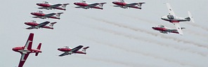 Snowbirds display