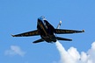 USN Blue Angels