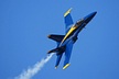 USN Blue Angels