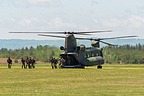 Canadian Forces Skyhawks