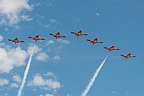 Snowbirds