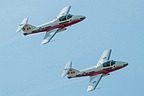 Snowbirds