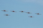 Snowbirds