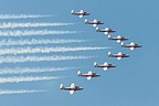 Snowbirds