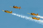 CHAA Harvards