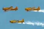 CHAA Harvards