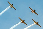 CHAA Harvards