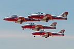 Snowbirds