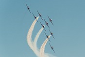 Snowbirds CT-114