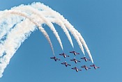 Snowbirds CT-114