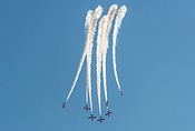 Snowbirds CT-114