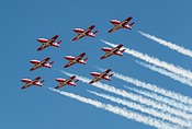 Snowbirds CT-114