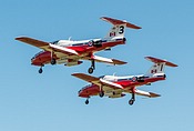 Snowbirds CT-114