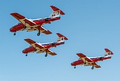 Snowbirds CT-114