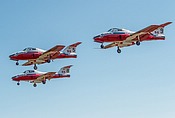 Snowbirds CT-114